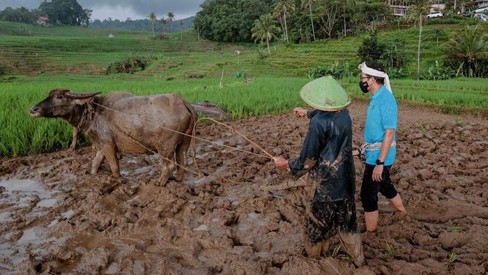 Sandiaga Uno di Desa Bantar Desa Wisata Bantaragung yang memiliki ragam potensi. Seperti Curug Cipeuteuy, Ciboer Pass, atau Bukit Semar.
