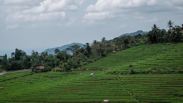 Desa Wisata Bantaragung yang memiliki ragam potensi. Seperti Curug Cipeuteuy, Ciboer Pass, atau Bukit Semar.