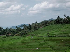 Sandiaga Puji Desa Wisata di Majalengka: Cantik Seperti di Bali