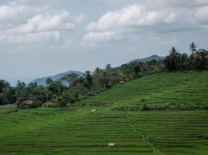 Desa Wisata Majalengka Ini Punya Pemandangan Mirip di Bali