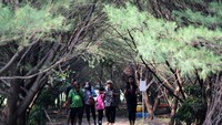 Tahura Pakal terletak di Desa Sidorejo, Kelurahan Pakal, Kecamatan Pakal, Surabaya, Jawa Timur. Tahura ini menawarkan suasana asri, dengan udara segar laiknya di hutan lebat.(ANTARA FOTO/Patrik Cahyo Lumintu)