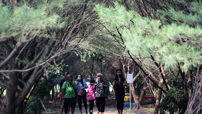 Wisata Taman Hutan Raya (Tahura) Pakal, Surabaya. Wisata Taman Hutan Raya (Tahura) Pakal, Surabaya.
