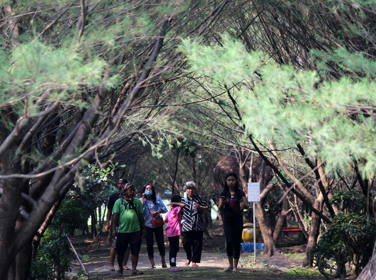 Tahura Pakal, Solusi Ngadem di Surabaya