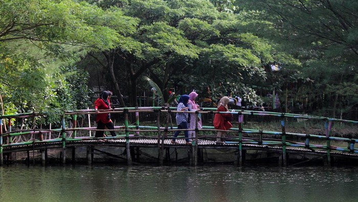 Wisata Taman Hutan Raya (Tahura) Pakal, Surabaya. Wisata Taman Hutan Raya (Tahura) Pakal, Surabaya.