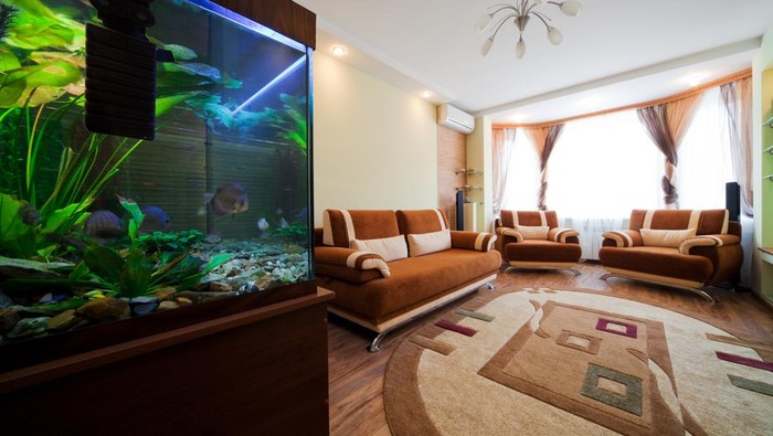 A womans hand is decorating the aquarium in a fishbowl as a hobby.