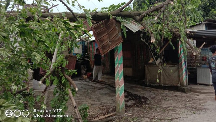 Angin kencang bikin pohon tumbang di Kabupaten Bogor (dok. Istimewa)