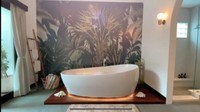 Bathtub di kamar mandi Raisa seharga Rp 375 juta. Foto: YouTube