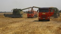 Petani memanen gandum di Tbilisskaya, Rusia, Juli 2021. Pasokan makanan di Eropa, Afrika, dan Asia yang mengandalkan panen gandum di lahan pertanian Rusia-Ukraina mulai terancam. Kedua negara itu mempunyai lahan subur yang dikenal sebagai  keranjang roti dunia.  (AP Photo/Vitaly Timkiv, File)