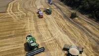 Petani menggunakan alat berat untuk memanen gandum di Tbilisskaya, Rusia, Juli 2021. Ukraina dan Rusia menguasai 14% produksi gandum global dan memasok 29% dari semua ekspor gandum. Harga gandum telah melonjak, membuat komoditas lebih mahal bagi para pembuat makanan, yang kemungkinan biaya tersebut berefek ke konsumen.  (AP Photo/Vitaly Timkiv, File)