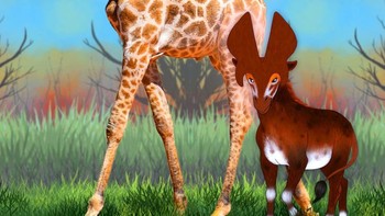 Kakek jerapah, Prolibytherium , adalah hewan yang berukuran 1,80 meter, lebih mirip dengan rusa. Baik jantan maupun betina memiliki set tanduk yang benar-benar aneh, pelat lebar berbentuk daun untuk jantan, dan yang ramping, yang tampak lebih normal untuk betina. Foto: Brightside