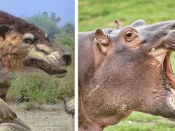Perbandingan Mencengangkan Hewan dan Nenek Moyangnya