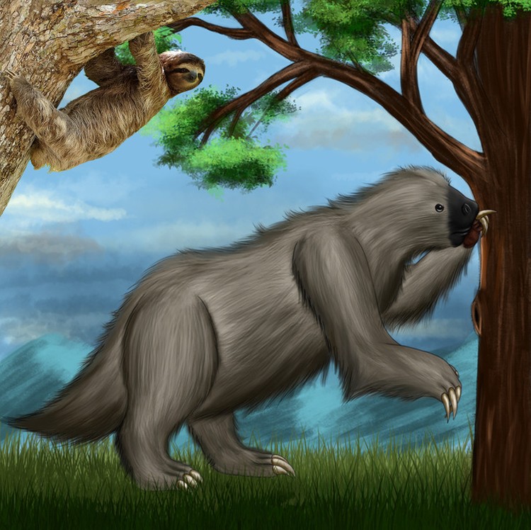 Evolusi hewan Evolusi hewan