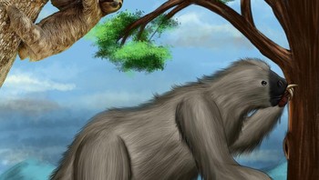 Sloth saat ini adalah hewan arboreal yang sangat lambat, canggung, dan rentan yang menghabiskan sebagian besar hidupnya untuk tidur. Lelulur mereka, Megatherium, mampu bertarung dengan beruang gua dan mamut. Mereka sebesar gajah hari ini tetapi juga bisa memiliki berat lebih dari 4 ton. Foto: Brightside