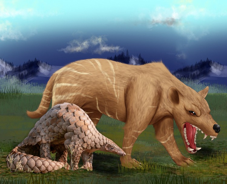 Evolusi hewan Evolusi hewan