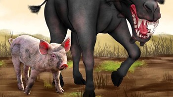 Di masa lalu, babi jauh lebih besar, lebih kuat, dan tampak menakutkan. Mereka memiliki taring besar untuk menaklukan mangsa, Entelodon sangat condong ke gaya hidup predator. Foto: Brightside