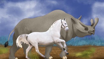 Kuda sering digunakan sebagai simbol keanggunan, kebangsawanan, dan kecepatan. Berbeda dengan nenek moyangnya, Brontotheriidae, adalah hewan yang lebih mirip dengan badak. Mereka bertubuh besar, memiliki tangki yang lambat, kaki yang relatif pendek, dan tanduk kembar berbentuk aneh. Foto: Brightside