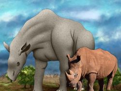 Perbandingan Mencengangkan Hewan dan Nenek Moyangnya