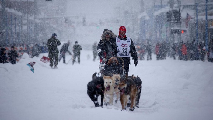 Melihat Aksi Balap Kereta Luncur Anjing di Alaska Brent Sass during the ceremonial start of the 50th Iditarod Trail Sled Dog Race in Anchorage, Alaska, U.S. March 5, 2022. REUTERS/Kerry Tasker