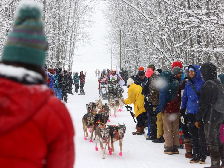 Melihat Aksi Balap Kereta Luncur Anjing di Alaska