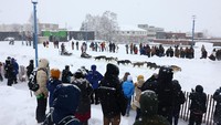 Pengunjung menyaksikan upacara pembukaan Balap Kereta Luncur Anjing di Anchorage, Alaska, AS.