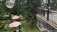 Suasana rooftop luas dengan pagar besi dan dikelilingi pohon pinus membuat ambience sangat nyaman untuk berlama-lama.