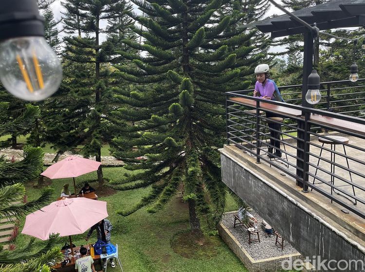 Ngopi-ngopi Kalcer di Kaki Gunung Salak, Bogor