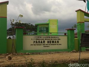 Dugaan Korupsi Pembangunan Pasar Hewan Bojonegoro Diselidiki Polda Jatim