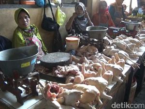 Harga Daging Ayam di Kendal Naik, Pedagang Menjerit: Omzet Anjlok!