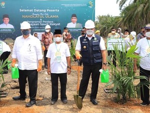 Herman Deru Harap Airlangga Perluas Program Replanting Sawit di Sumsel