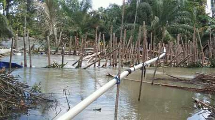 Permukiman warga di Luwu Utara, Sulsel terendam banjir akibat tanggul Sungai Rongkong jebol.
