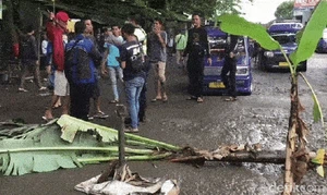 Protes Jalan Rusak, Sopir Angkot Blokir Ruas Sukabumi - Bogor
