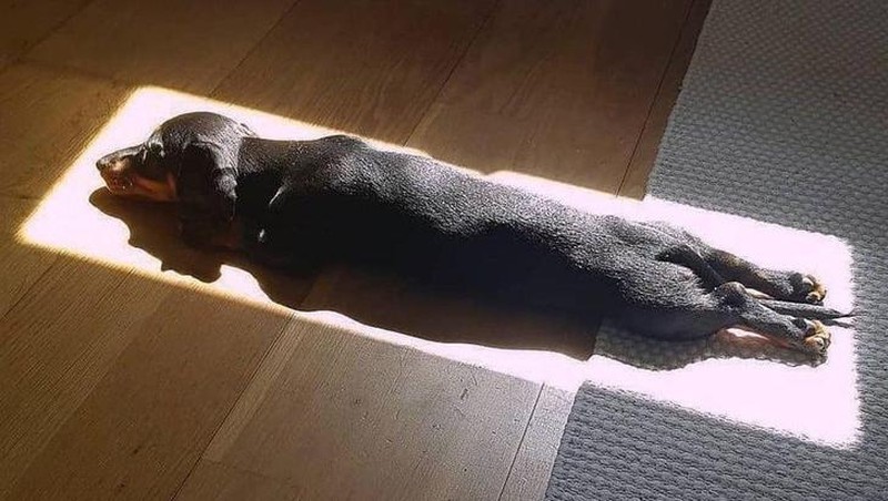 Unik! Deretan Potret yang Tak Sengaja Tapi Sempurna