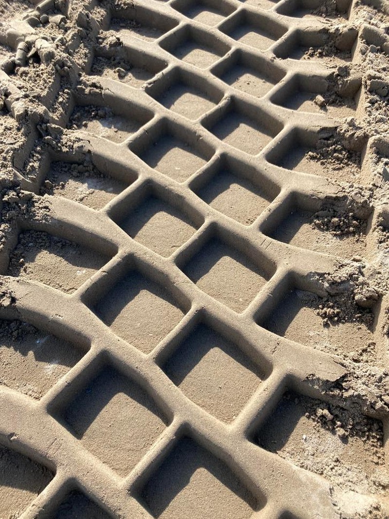 Unik! Deretan Potret yang Tak Sengaja Tapi Sempurna