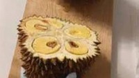 Aksi nyeleneh yang satu ini pasti mengecewakan banyak orang. Siapa yang tak kesal saat melihat durian dibuka dengan cara seperti ini. Foto: Instagram/wkwkland_real