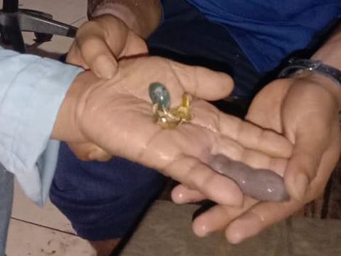 Petugas pemadam kebakaran Tangerang Selatan (damkar Tangsel) membantu seorang kakek berusia 87 tahun untuk melepas cincin yang terpasang di jari. Cincin yang terpasang sejak muda itu membuat tangan kakek yang bernama Komeng ini membengkak.