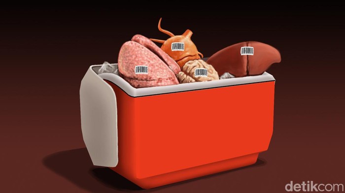 Ilustrasi perdagangan organ tubuh manusia.