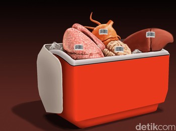 Bisnis Jual-Beli Organ Tubuh Manusia