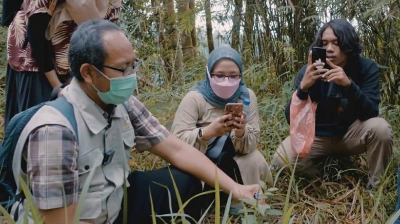 Komunitas pemerhati dan pecinta herbal menjelajahi bukit Turgo Sleman beberpa waktu lalu. Komunitas pemerhati dan pecinta herbal menjelajahi bukit Turgo Sleman beberpa waktu lalu.