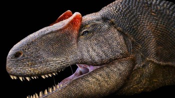 Allosaurus Foto: Palaorex
