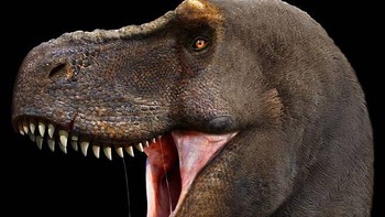 T-Rex Foto: Palaorex