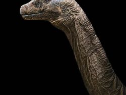 Ngeri Tapi Keren, Begini Tampilan Hewan Jurassic di Dunia Nyata