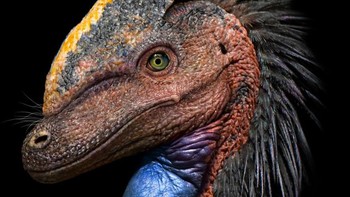 Guanlong Foto: Palaorex