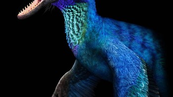 Piroraptor Foto: Palaorex