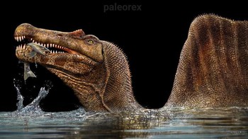 Spinosaurus Foto: Palaorex