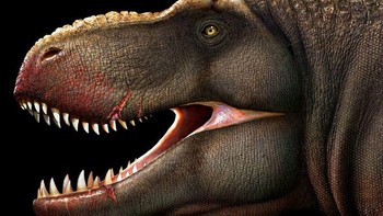 Tarbosaurus Foto: Palaorex