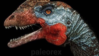 Megapnosaurus Foto: Palaorex