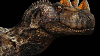 Paleorex Ceratosaurus Foto: Palaorex