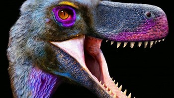 Valociraptor Foto: Palaorex