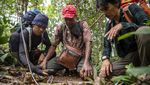 Patroli Pembersihan Jerat di Taman Nasional Kerinci Sebelat