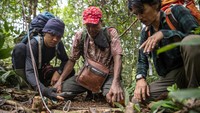 Pembersihan tersebut bertujuan untuk memusnahkan jerat atau perangkap yang bisa membunuh satwa liar yang dilindungi. 